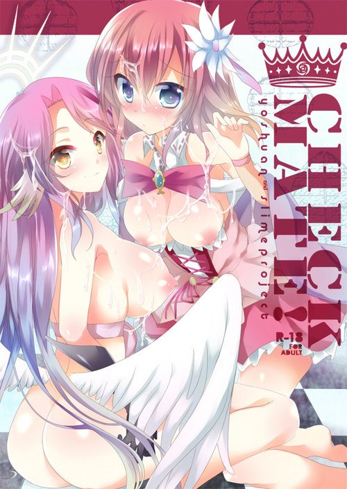 no game no life porn